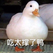 雾都孤儿🐟海报