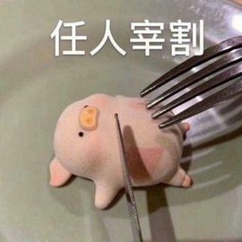 阿年🍁🎤主播照片