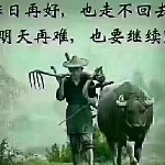 漂洋过海来看看你好不