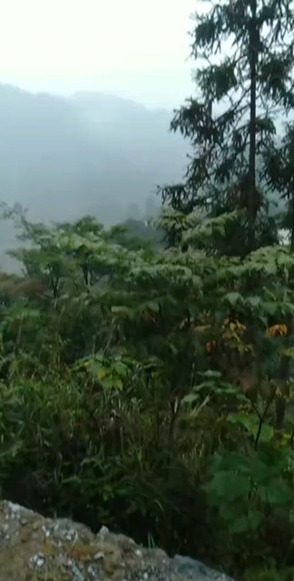 这地方还可以吧！有来耍的没得，