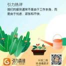 老虎4h海报