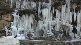 天天有🐟🐠鱼主播照片