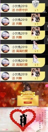 海鸽晚上见主播照片