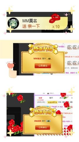 海鸽晚上见主播照片