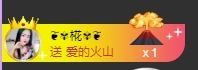 海鸽晚上见主播照片