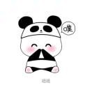 书生～六六