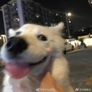 红红火火恍恍惚惚*3