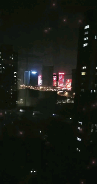 情总是让疼