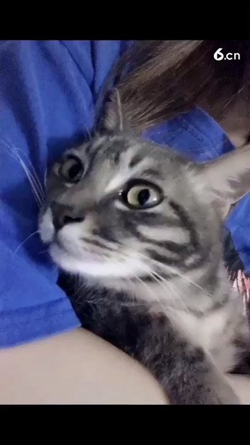 哈喽，我又来啦！