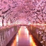 @缘哥@海报