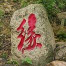 随缘sme海报