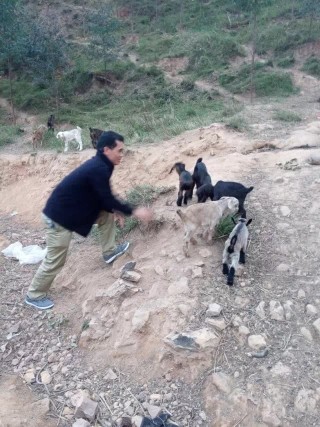 友记r的主播照片