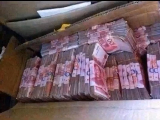 哦豁！币没了主播照片