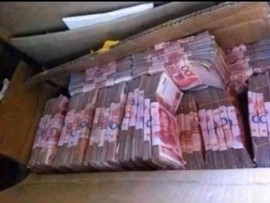 哦豁！币没了主播照片