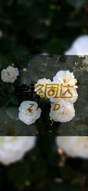 不断练习是成就任何事的基本功