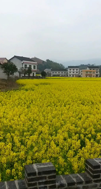 翻看在家乡的视频 想回去了😭