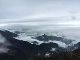 &amp;微凉主播照片