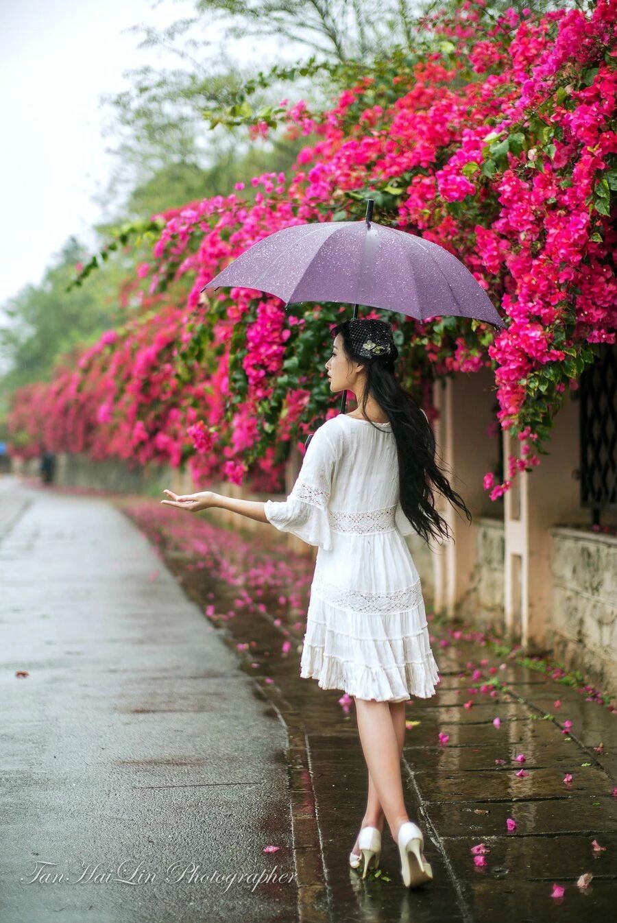 梦锁清秋～的主播照片