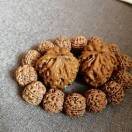 生活每一天s