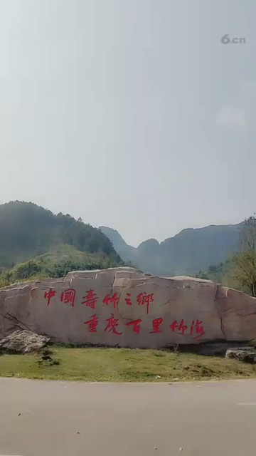 小江去西藏第8天百里竹海
