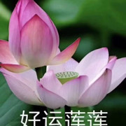 小林总2海报