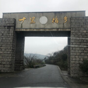 Adu紫气东来