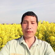 含情九哥