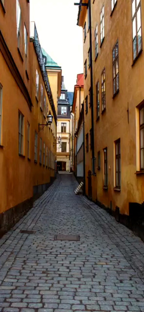 动机越简单，往往越容易成功