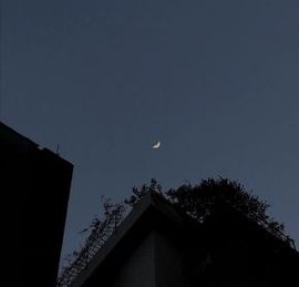 嬌嬌嬌~休息主播照片