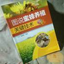 顺其自然uvb3