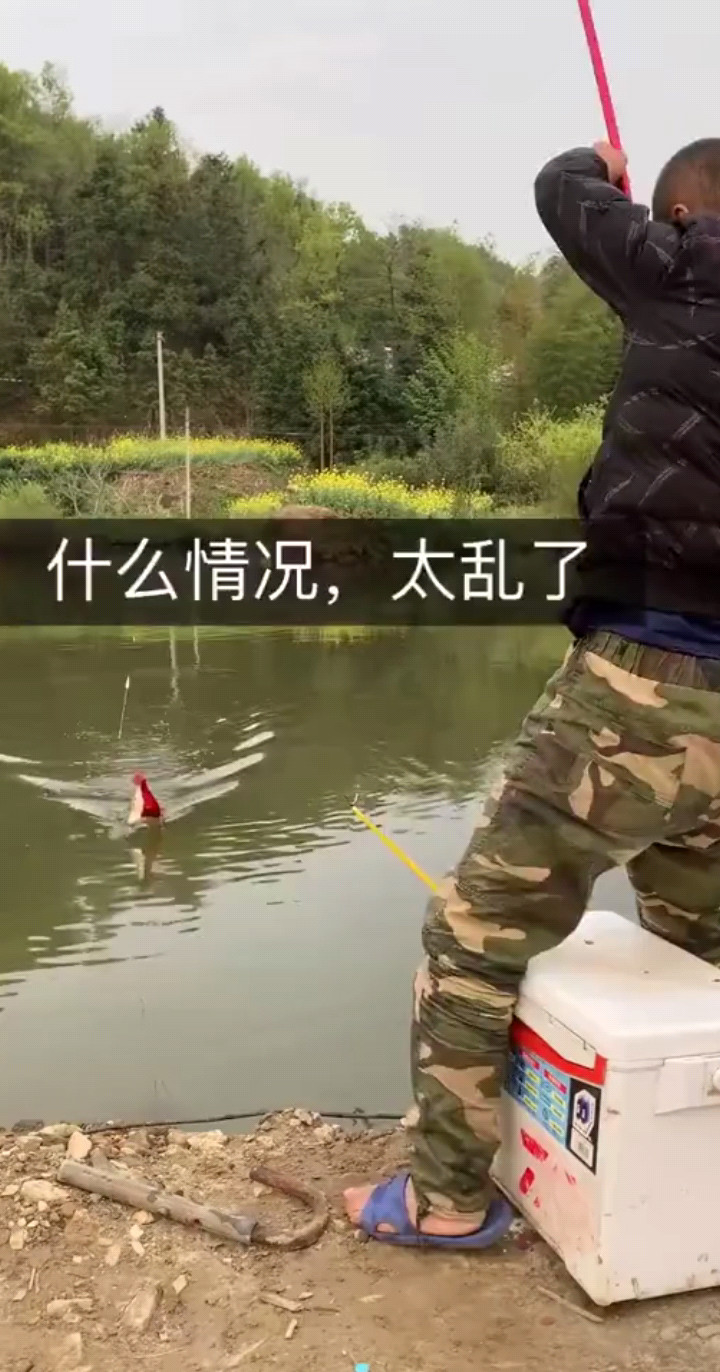 钓了啥