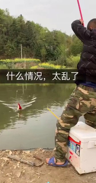 钓了啥