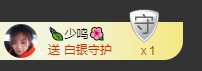 海鸽晚上见主播照片