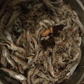 新人21😌主播照片