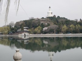 🔭星空主播照片