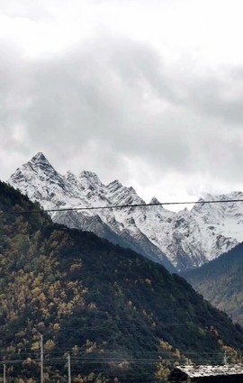 Z5翱翔主播照片