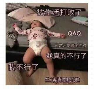 意难平♡的主播照片