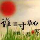 寸草心ok