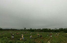 xiao🎶tong主播照片