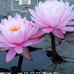 仙人洞里修仙主播照片