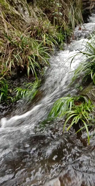 小溪流水