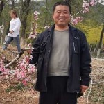 凉爽之夏海报