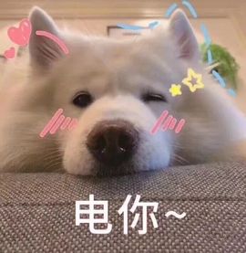 跑调嘉💟休主播照片