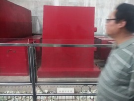 只爱傻傻妞主播照片