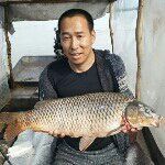 MobD62148F主播照片