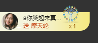 海鸽晚上见主播照片