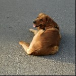 长得高又不能当饭吃海报