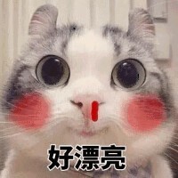 宝哥――回来看看主播照片