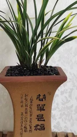 帝小爷，主播照片