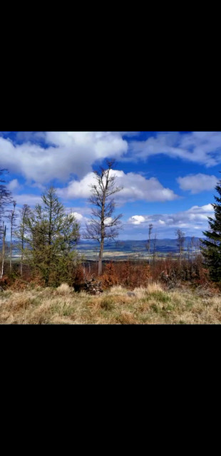 自信来源于积极的心理暗示